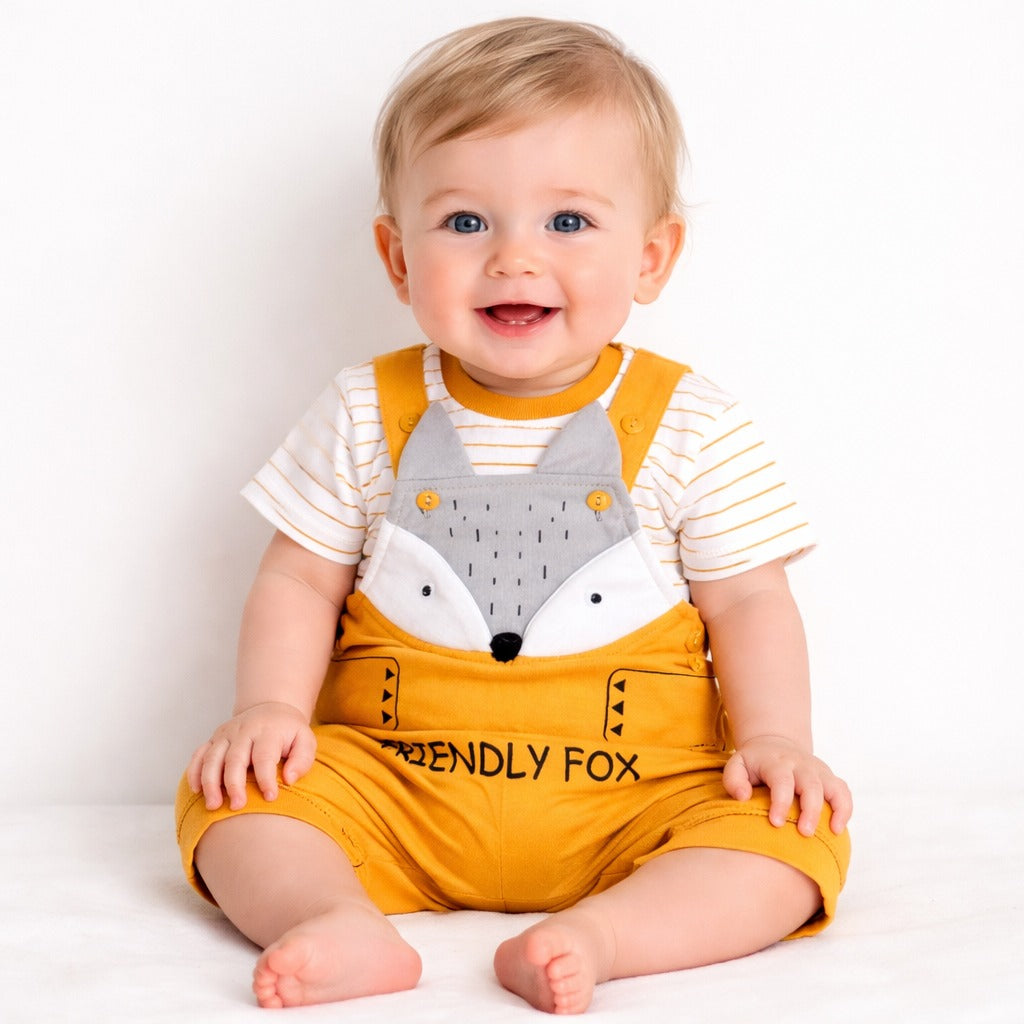 Premium Baby Rompers Range