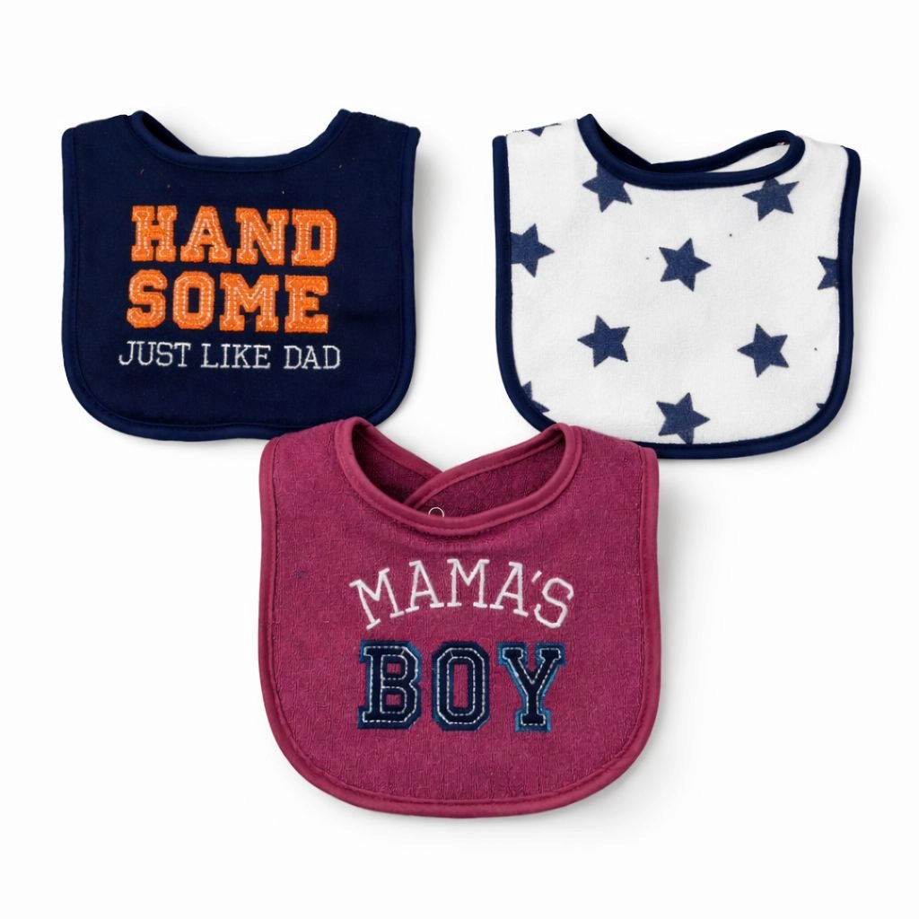 Hudson Branded Fancy Baby Bibs โ Pack of 3