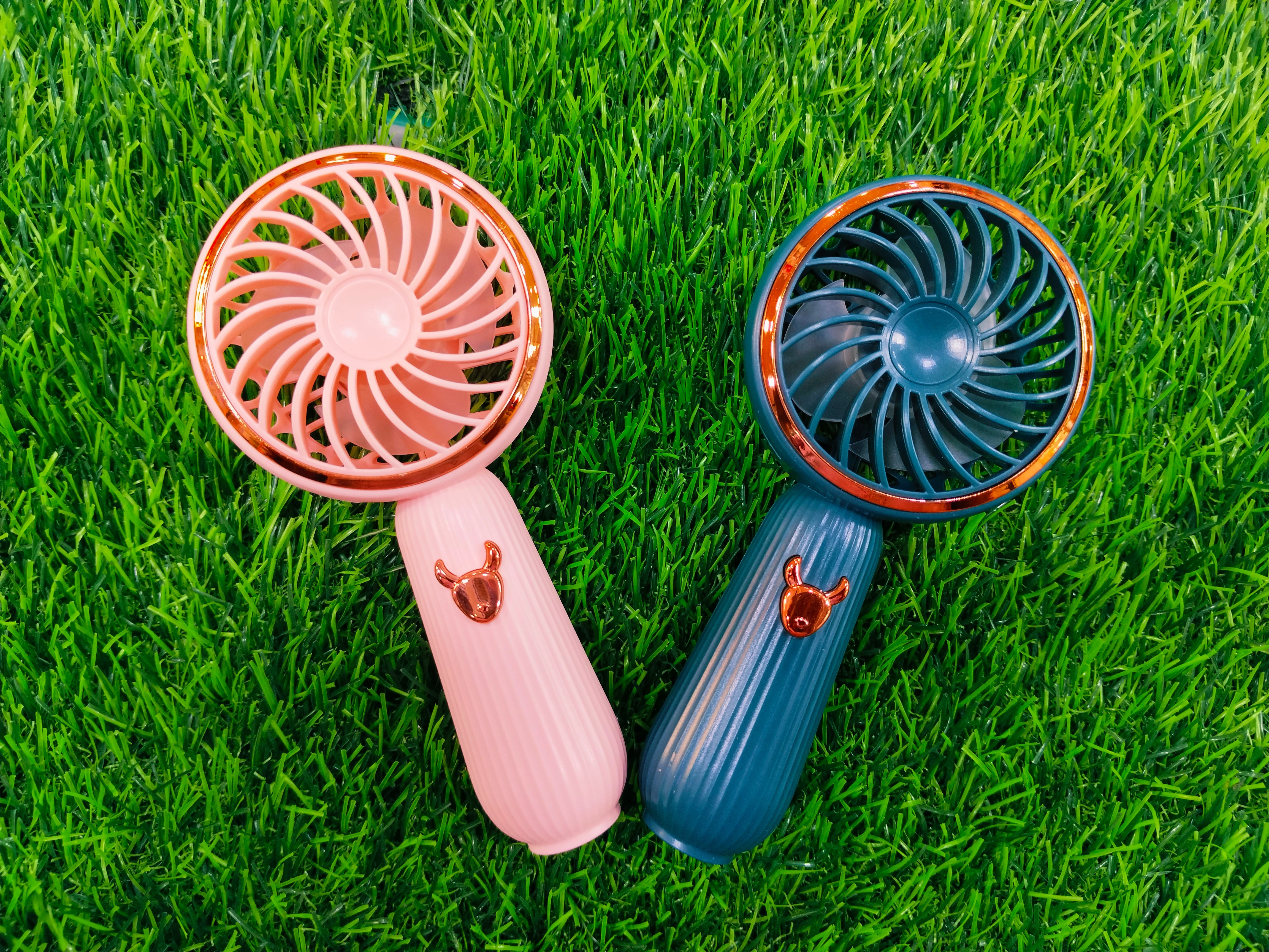 Mini Hand fans