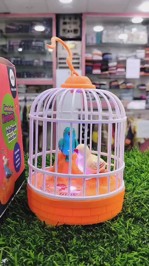 Mini Bird Cage Toy