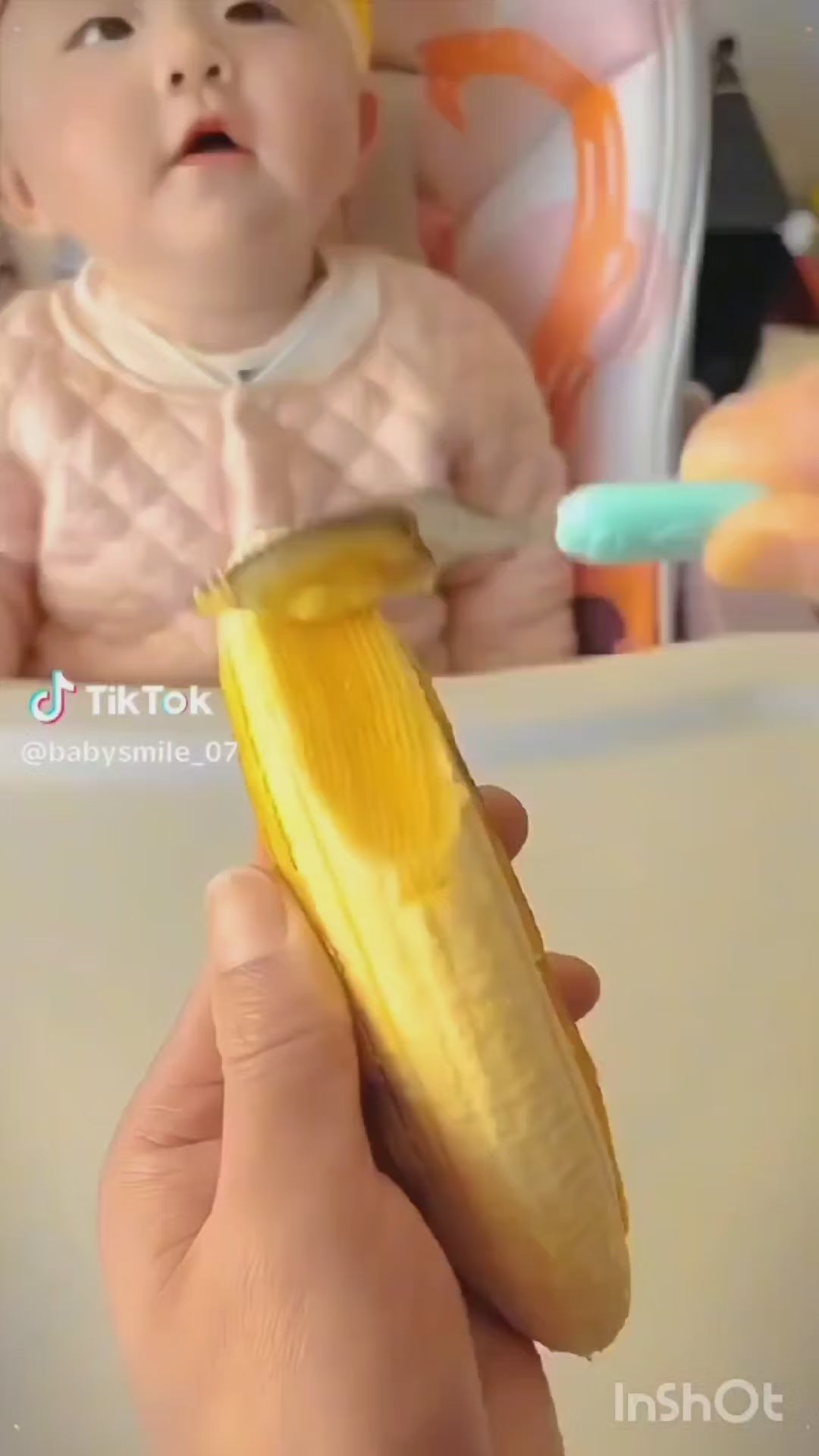 Baby 2-in-1 Masher with Silicon Spoon