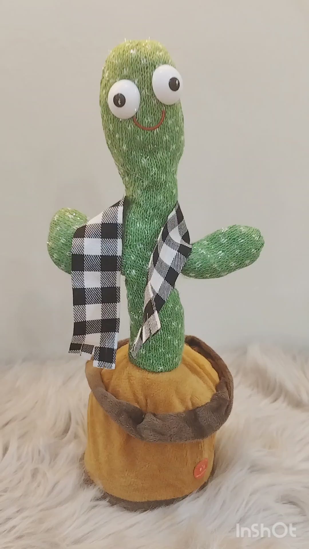 Dancing Cactus